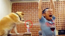 "多才多艺"的猫猫狗狗们
