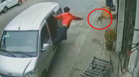 职业盗狗人日入千元手法娴熟