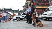 北京650只警犬街头巡逻