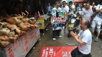 广西玉林否认组织狗肉节