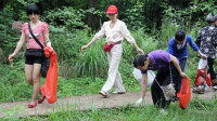政府官微骂网友"环保绿茶婊"