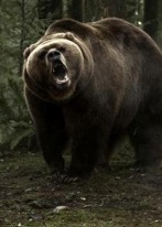 The Wild:Ұǵս(3)