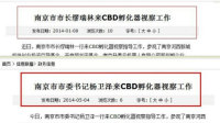 政府官网现"双胞胎"报道