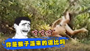 是男人就坚挺看完这一期!
