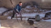 实拍男子虐狗铁锨狠砸头