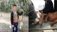 男童走失半年饿死救助站