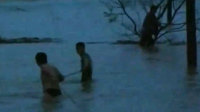 男子洪水中抱树求生