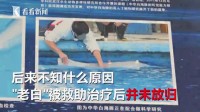中华白海豚仅剩下颌仍在表演 虐待动物?园方表示只是训练!