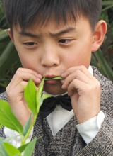 郑伟