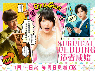 ߳ɻ/SURVIVAL WEDDINGѸ