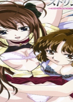 󥸥뤿Υץ饤٩`ȥå ACT10Ѹ