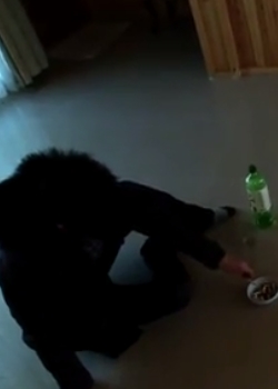 嵨(5)