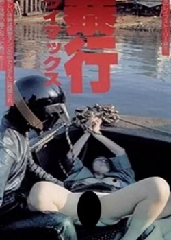˾(3)