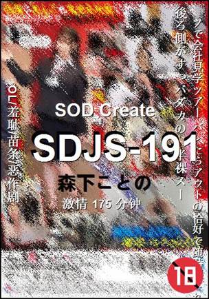 SDJS-191
