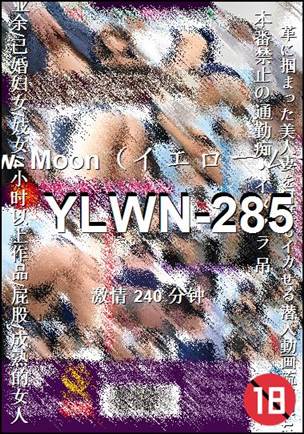 YLWN-285