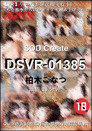 DSVR-01385
