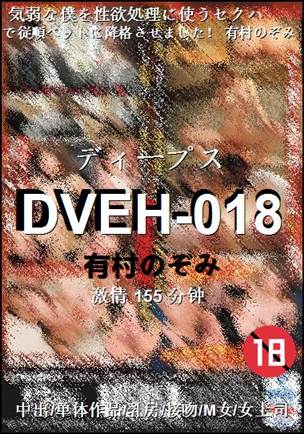 DVEH-018