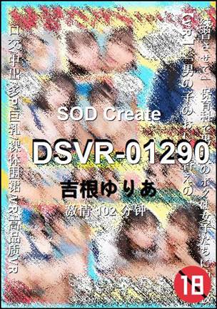 DSVR-01290