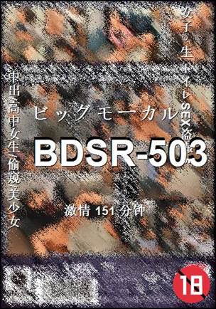 BDSR-503