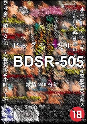 BDSR-505