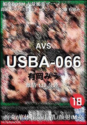 USBA-066