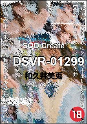 DSVR-01299