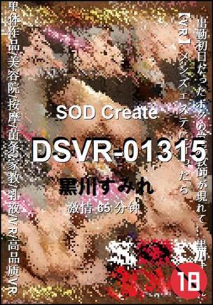 DSVR-01315