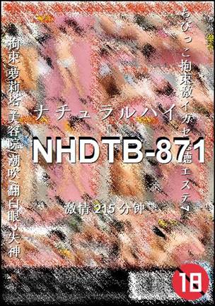 NHDTB-871
