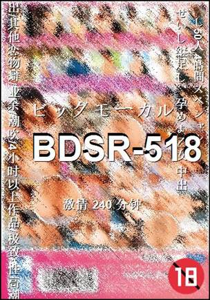 BDSR-518