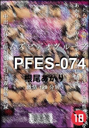 PFES-074