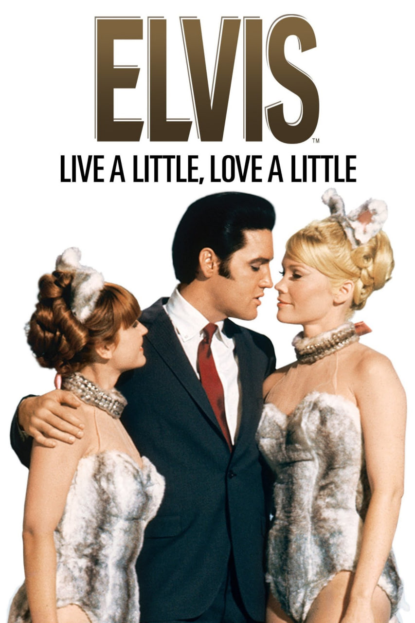 ���������Ѹ������