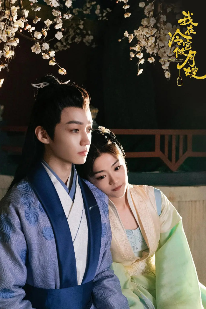 我在冷宫做月嫂迅雷下载