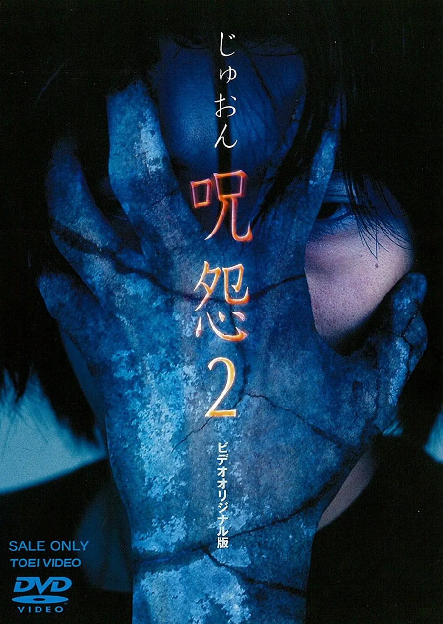 ʳʬ ˰2(2)