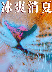 Ѫ
