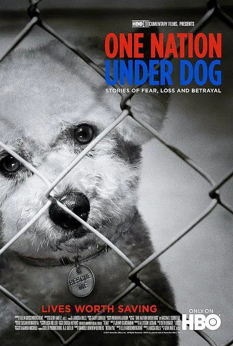 属于狗的王国迅雷下载