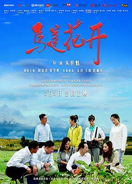 马莲花开迅雷下载