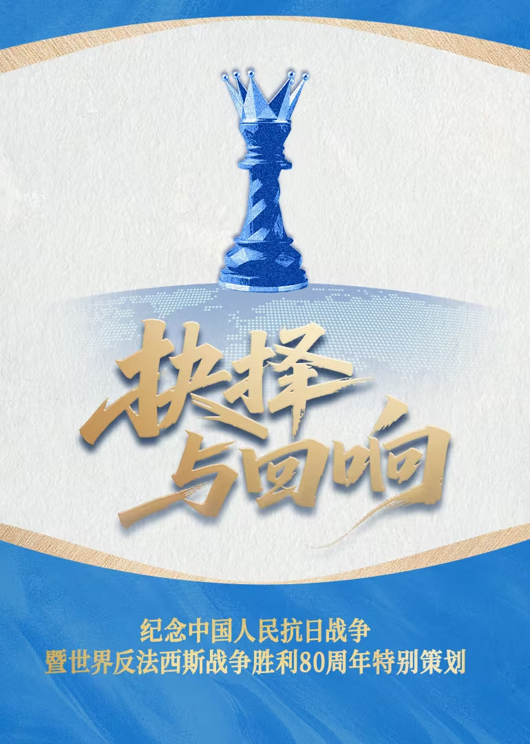 抉择与回响迅雷下载