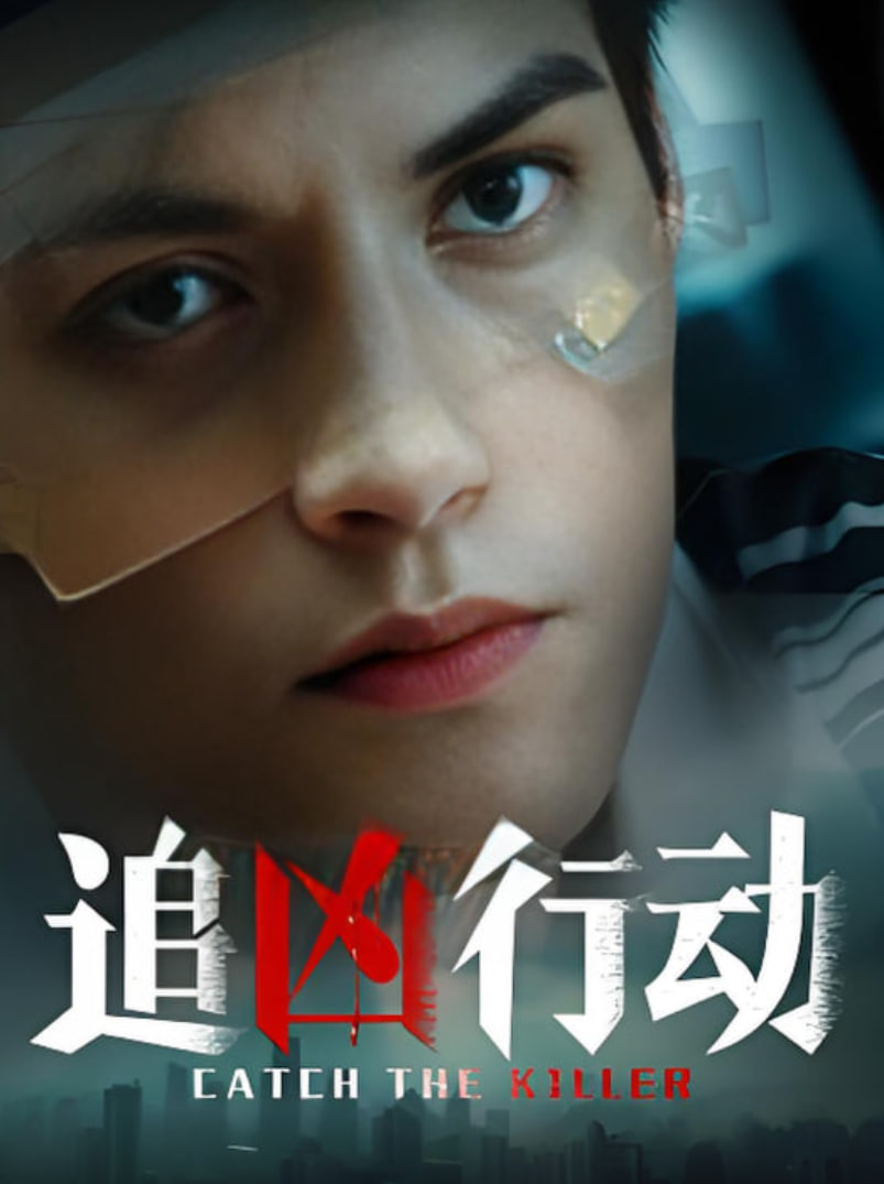 追凶行动迅雷下载