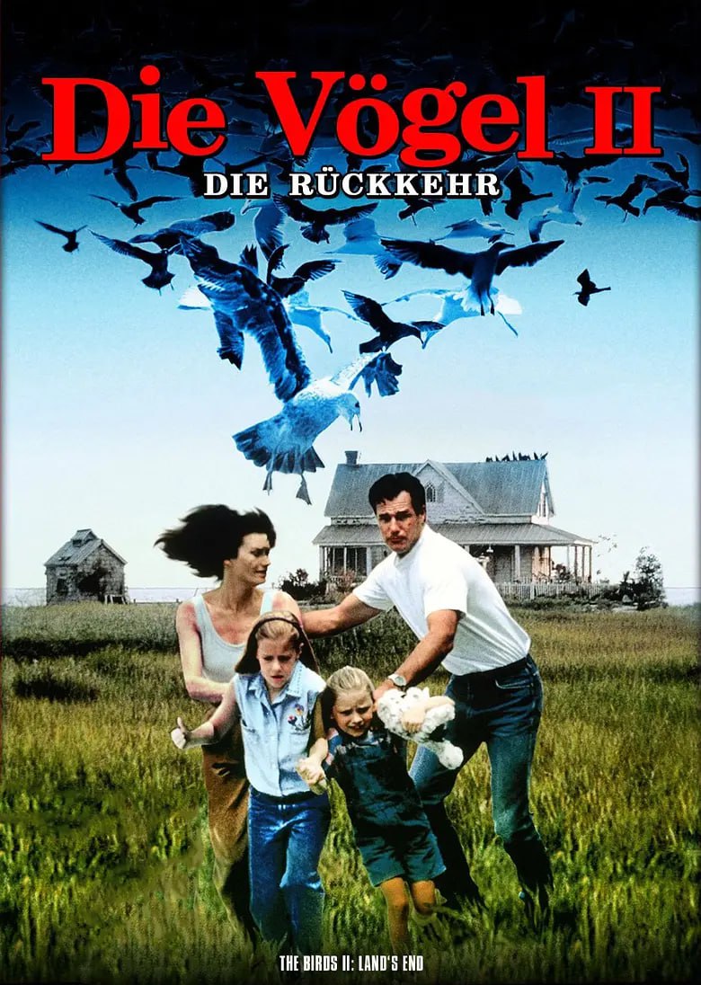 ���� 2017����(1)