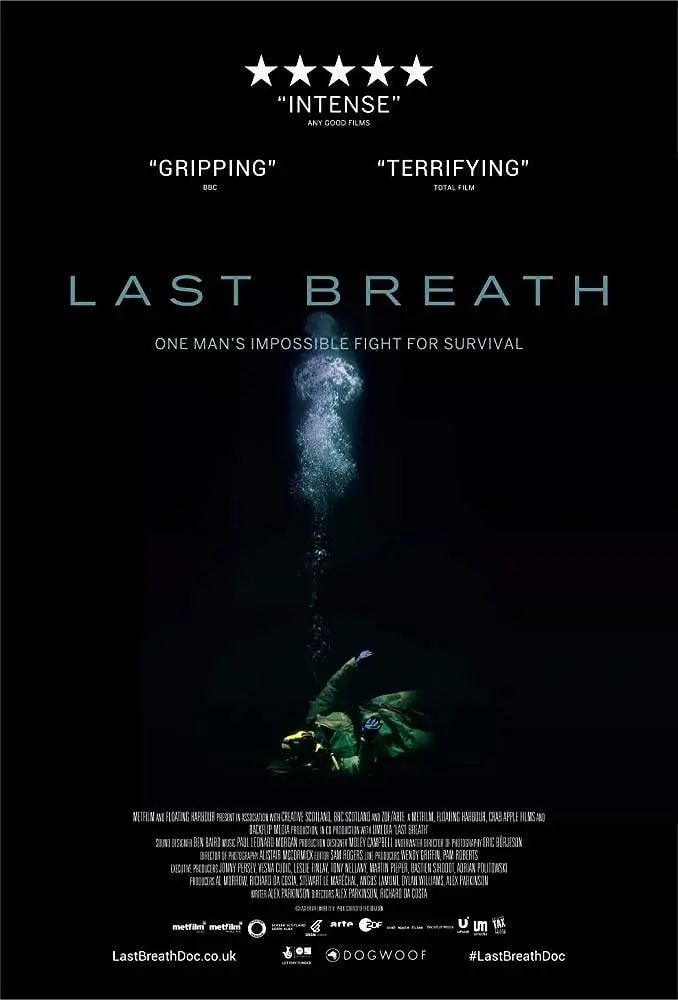 ���ĺ��� 2019Ѹ������