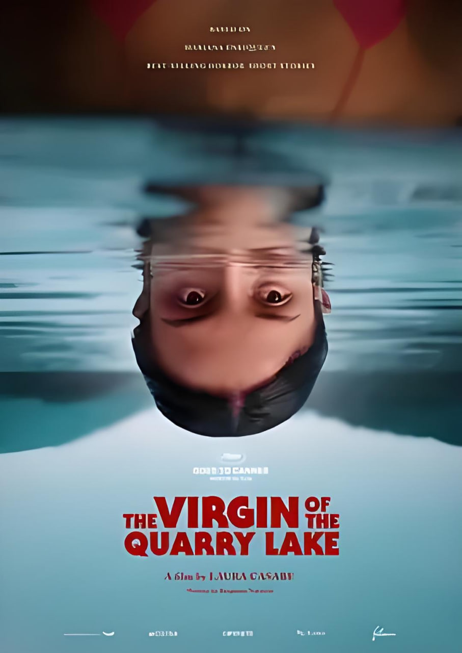 ���صķ����������(4)