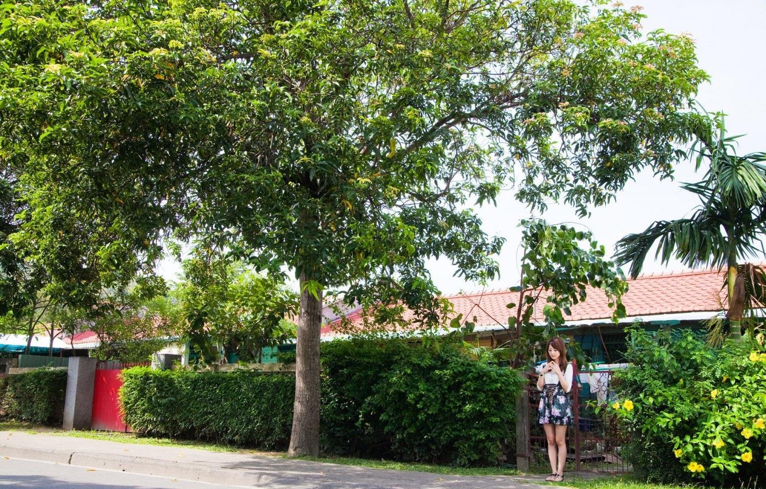 ������С��ϷѸ������