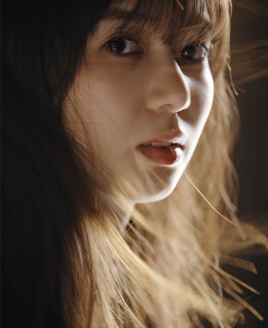 ����֮�� 2019����(4)