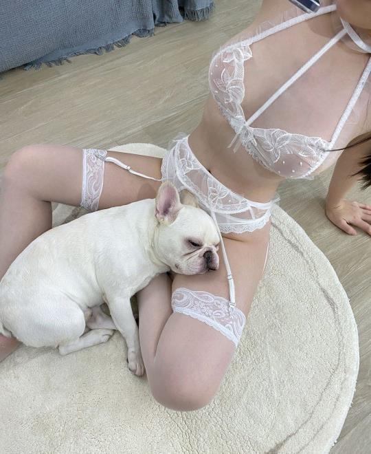 ŷ��������ƵѸ������